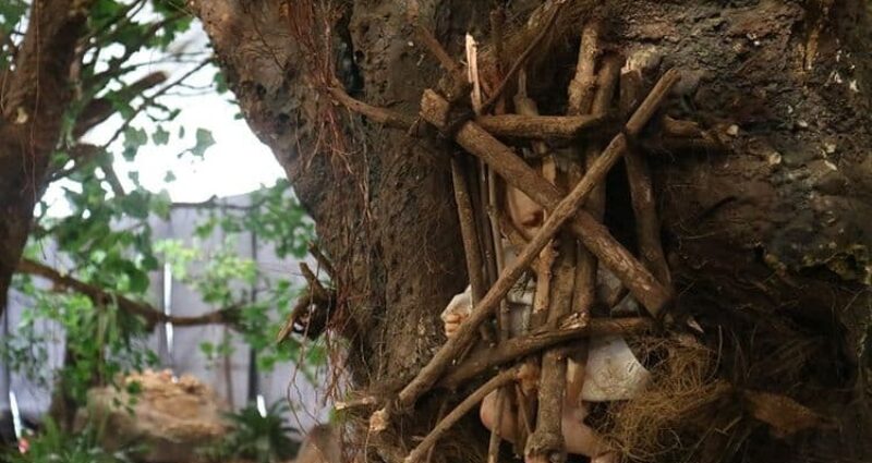Pemakaman Unik Di Indonesia, Ini 5 Tradisi Warisan Leluhur