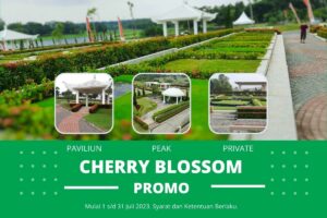 Promo Area Cherry Blossom