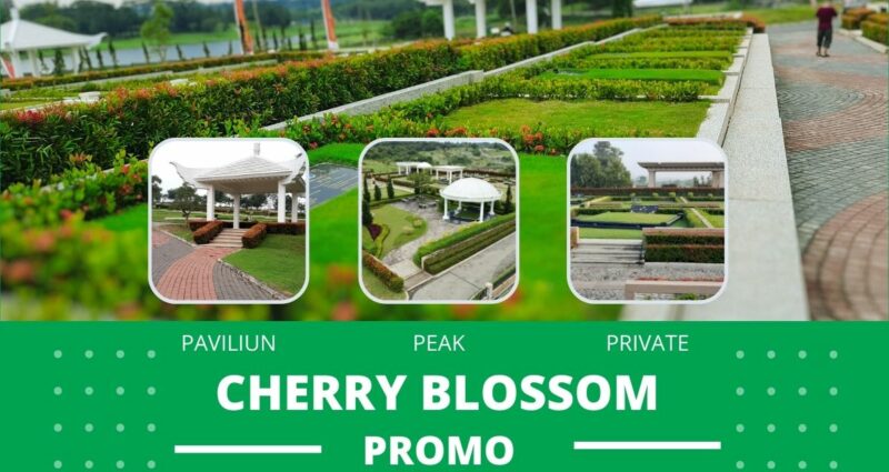 Promo Area Cherry Blossom